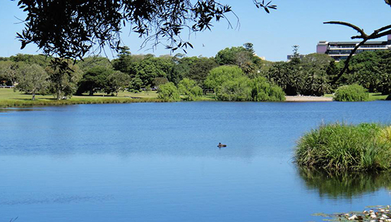 如何收、怎么收、收多少，污水處理這筆賬該怎么算?