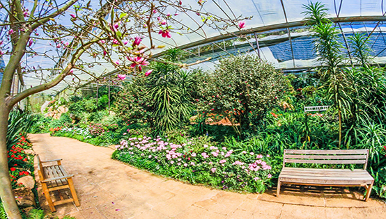 我國環境治理過高，依賴行政手段，缺少市場化調節