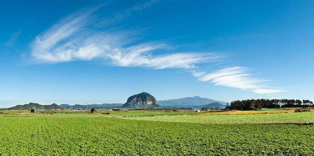 以生態環境保護倒逼產業轉型升級