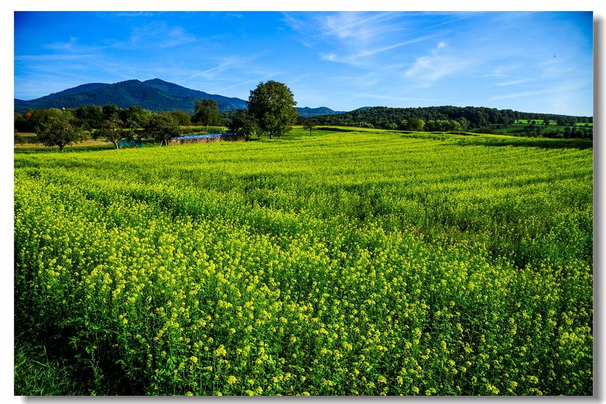 一起來了解下VOC在線監(jiān)測系統(tǒng)