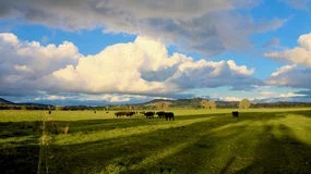 內(nèi)蒙古自治區(qū)主席：全力做好大氣污染聯(lián)防聯(lián)控聯(lián)治工作