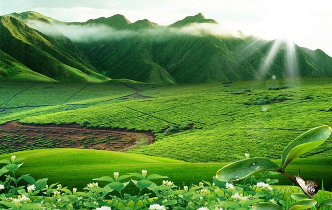 生態環境部赴山東濰坊調研渤海綜合治理攻堅戰進展情況