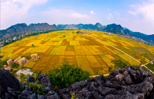 廣東創新生態環境信訪工作五大機制 助力高質量發展