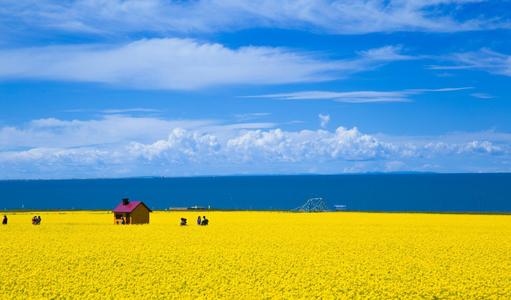 青海省副省長赴祁連山南麓青海片區督導要求
